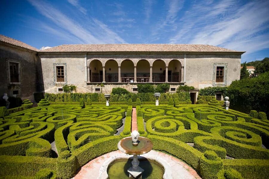 From Lisbon: Serra da Arrábida, Sesimbra, and Setúbal Wines - Key highlights worth carving out time for