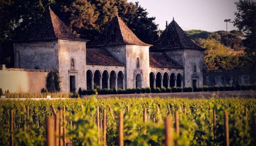 From Lisbon: Serra da Arrábida, Sesimbra, and Setúbal Wines - Why Setúbal feels like a different Portugal from Lisbon