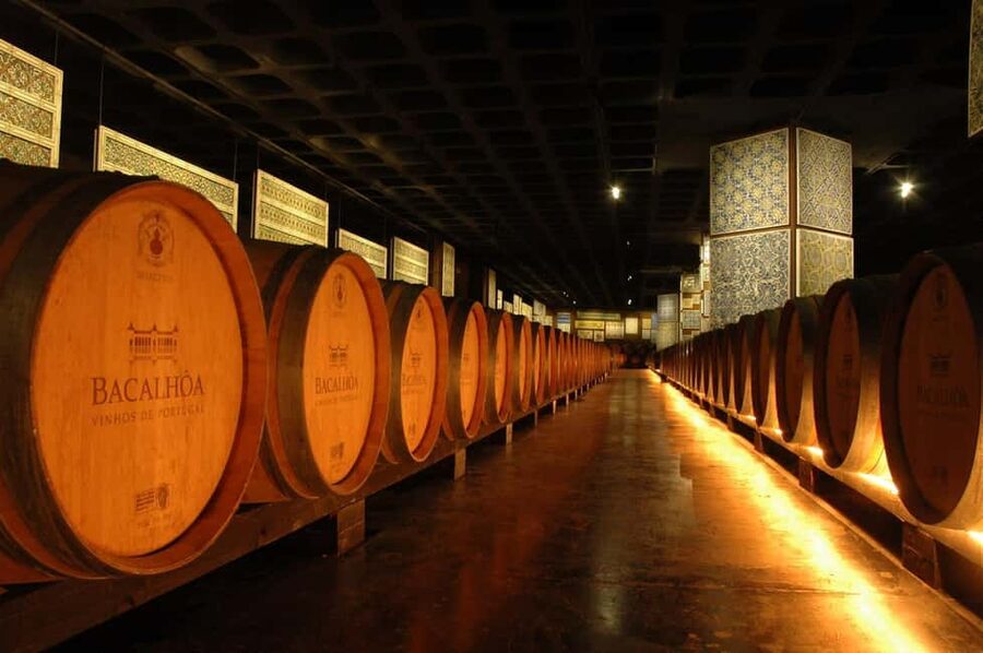 From Lisbon: Serra da Arrábida, Sesimbra, and Setúbal Wines - José Maria da Fonseca and the wine museum: museum stop plus lunch time