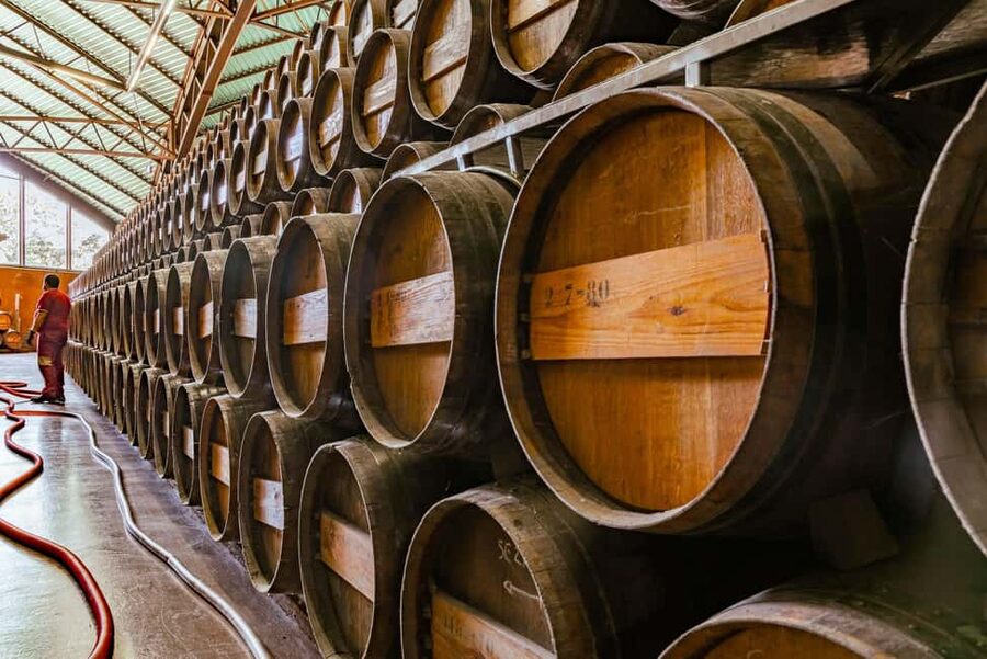 From Lisbon: Serra da Arrábida, Sesimbra, and Setúbal Wines - Price and what you actually get for $62