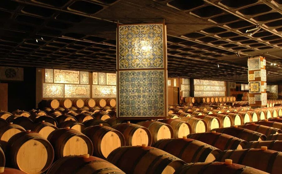 From Lisbon: Serra da Arrábida, Sesimbra, and Setúbal Wines - Bacalhôa Palace and cellar time: where the wine day starts