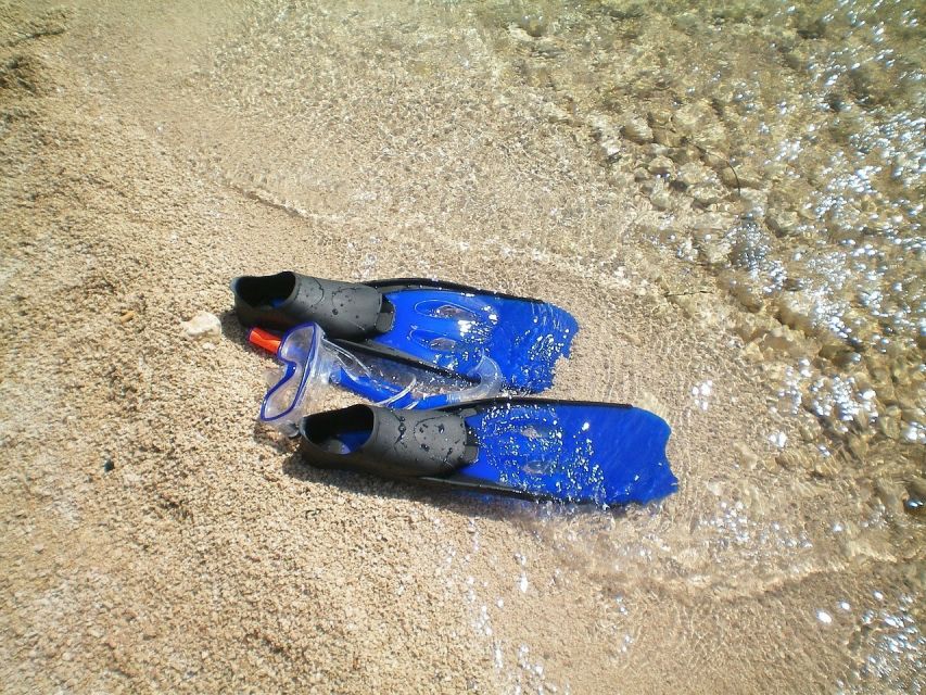 From Lisbon: Sesimbra Wild Beach Tour - Key Highlights You’ll Actually Care About