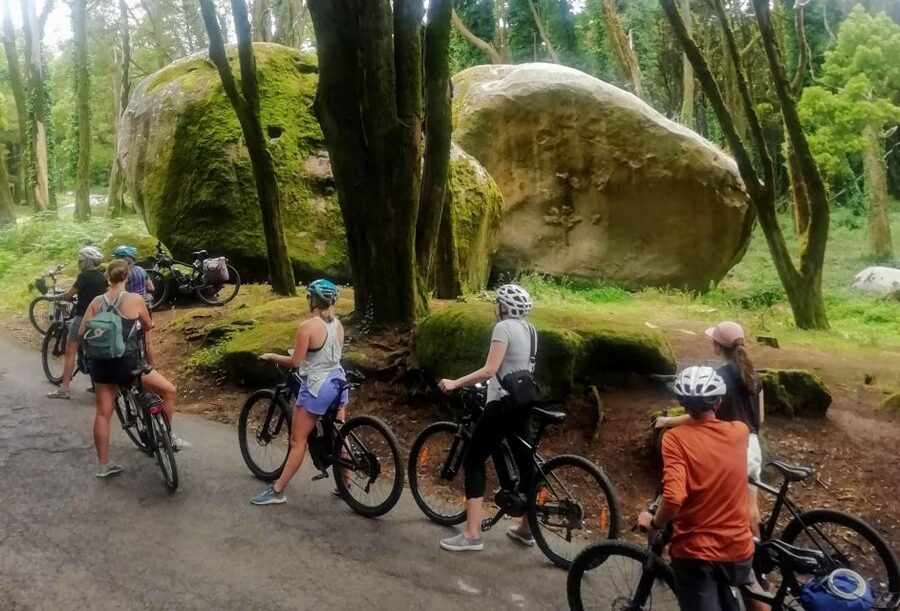 From Lisbon: Sintra and Cascais E-Bike Tour - From Lisbon to Sintra: trains that keep the day smooth