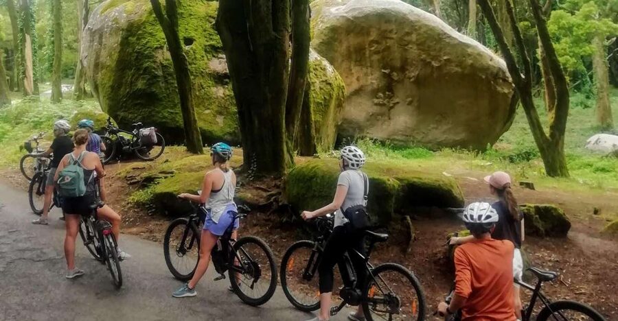 From Lisbon: Sintra and Cascais E-Bike Tour - Sintra village, sweets, and the palace-view circuit