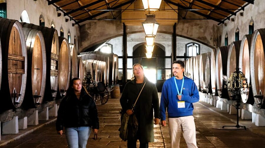 From Lisbon: Sintra, Pena Palace, Cascais and Wine Tasting - Key Things I’d Prioritize on This Tour