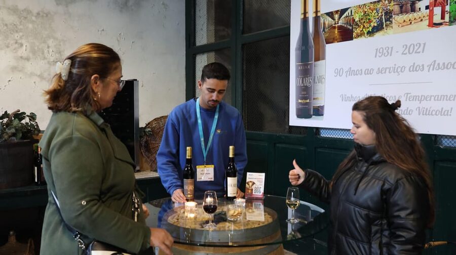 From Lisbon: Sintra, Pena Palace, Cascais and Wine Tasting - Price and what you’re really paying for (and why it can still feel fair)