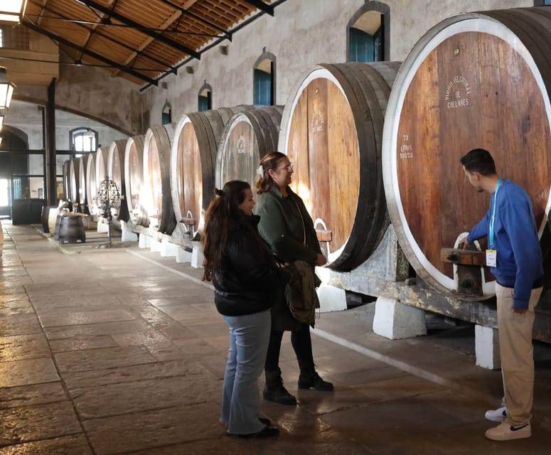 From Lisbon: Sintra, Pena Palace, Cascais and Wine Tasting - Adega Regional de Colares Wine Cellars: where the tasting actually has context