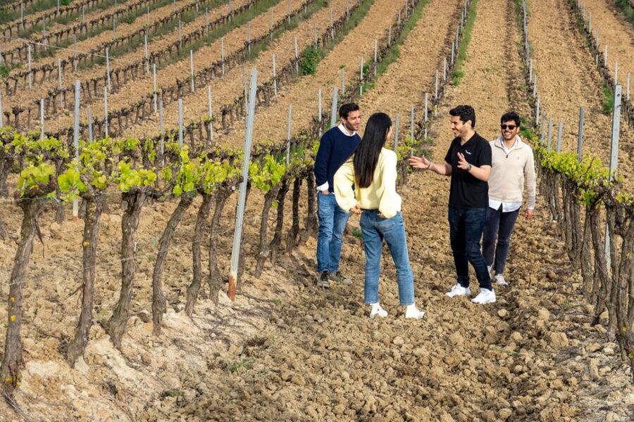 From Lisbon: Sintra & Pena Palace Day Trip with Wine Tasting - Time in the Palace Area: Beauty, But Also a Controlled Schedule