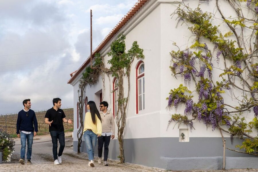 From Lisbon: Sintra & Pena Palace Day Trip with Wine Tasting - Sintra and Pena Palace Gardens: Romanticism With a Guide’s Map
