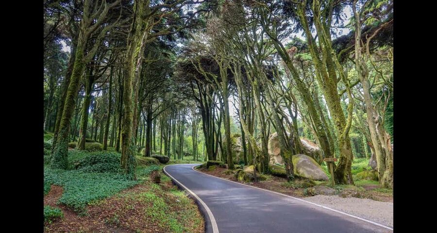 From Lisbon: Sintra, Pena, Regaleira, Peninha, & Coastline - Why this Sintra route makes sense in one full day