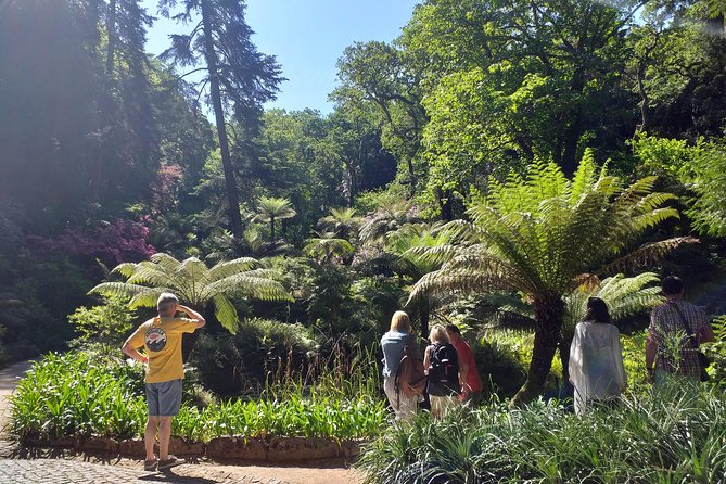 From Lisbon: Sintra's Historical and Natural Gems - Pena Palace Exterior Focus: Views Without the Crowded Rooms