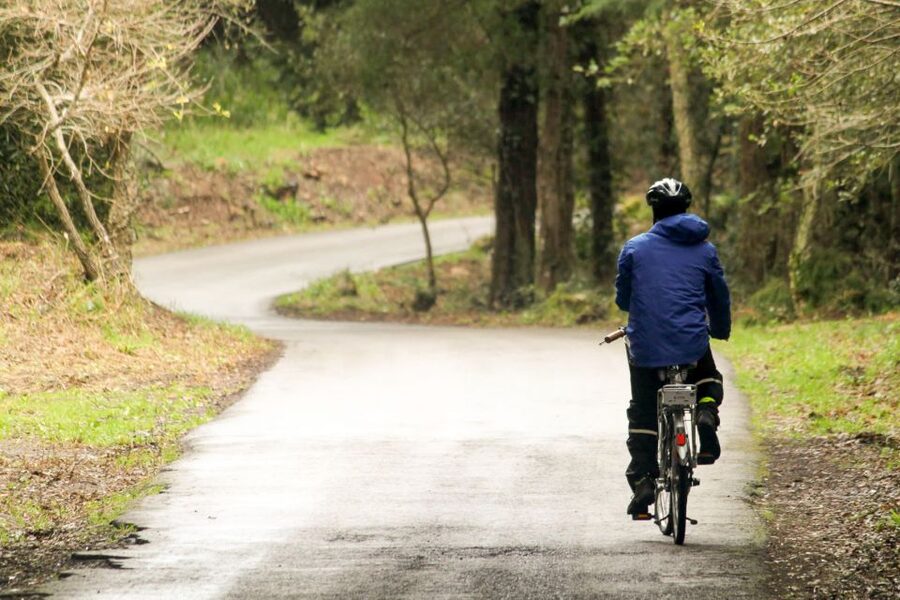 From Lisbon: Sintra to Cascais Full-Day Guided E-Bike Tour - The ancient forest climb to Peninha Sanctuary: where the views earn their work