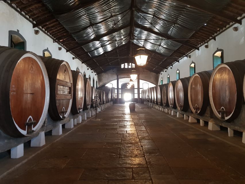 From Lisbon: Sintra Wine Experience - Sintra time: getting your bearings with a local guide