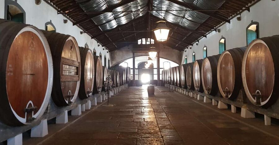 From Lisbon: Sintra Wine Experience - Who should book this Sintra Wine Experience