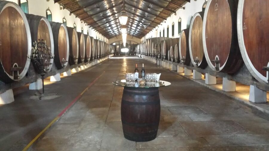 From Lisbon: Sintra Wine Experience - A family-run hillside winery: wine shaped by a century gap