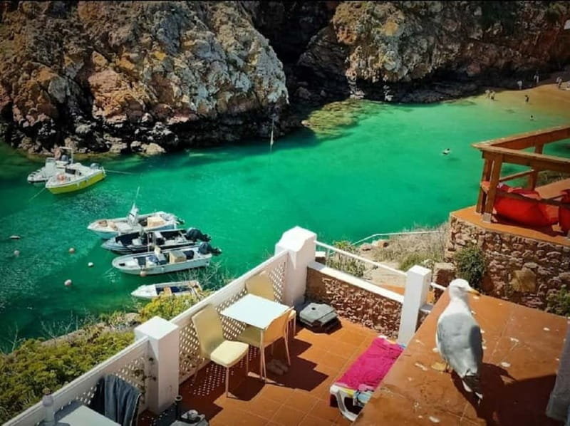 From Lisbon: Tour to Berlengas, a UNESCO natural reserve - Food and downtime: where “relax” actually happens