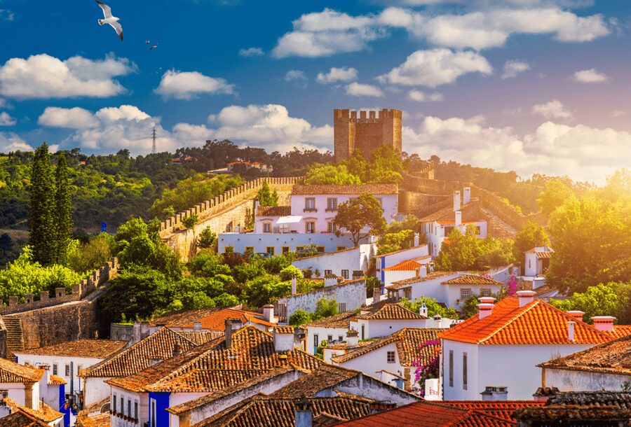 From Lisbon: Tour to Óbidos and Nazaré - Medieval Village, Ginja, and Giant Waves - Wandering Óbidos for an hour without missing the best views