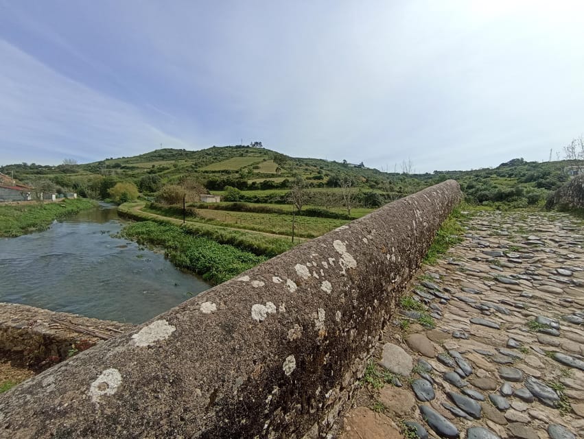 From Sintra, Mafra, or Ericeira: Hike and Wine Tour - Cheleiros Wine Village + 7km Walking Route: The Smart Combo