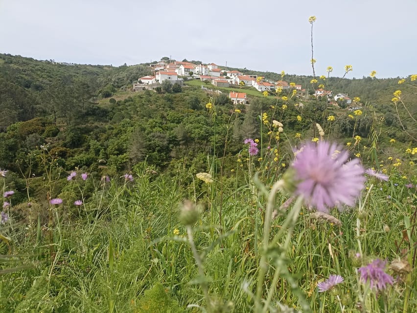 From Sintra, Mafra, or Ericeira: Hike and Wine Tour - The Hike Stops That Feel Like Real Rural Portugal