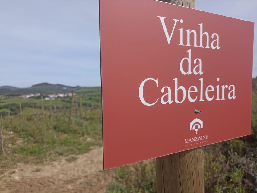 From Sintra, Mafra, or Ericeira: Hike and Wine Tour - Price and Value: Why $117 Feels Fair (If You Use What’s Included)