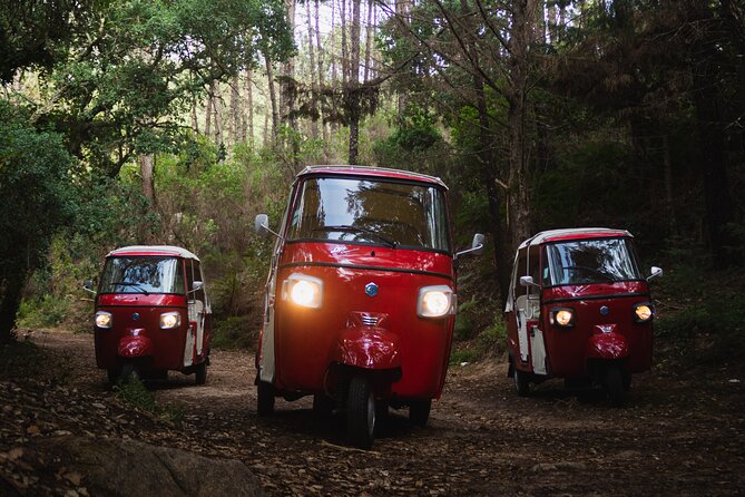 Full-Day Guided Tuk-Tuk Tour in Sintra - Valverde Palácio de Seteais and Monserrate: Two Garden-Forward Contrasts