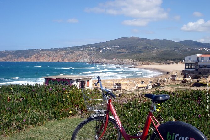 Full Day Private Guided Tour to Sintra Cascais Estoril - Cascais promenade and marina: the seaside that feels like a real town