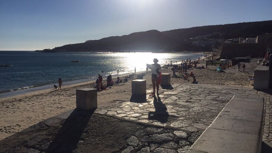 Full Day Private Wine Tour in Arrabida - An artisan tile factory stop: the handmade part of Portugal