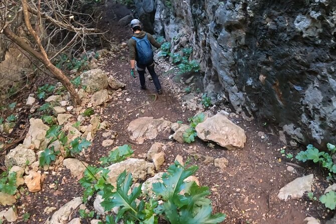 Full Day Rock Climb Adventure Trail from Lisbon with Lunch - Key highlights worth planning for