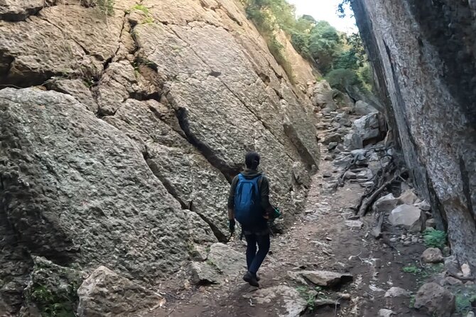 Full Day Rock Climb Adventure Trail from Lisbon with Lunch - Beach lunch on the coast: the relaxed reset that keeps it fun