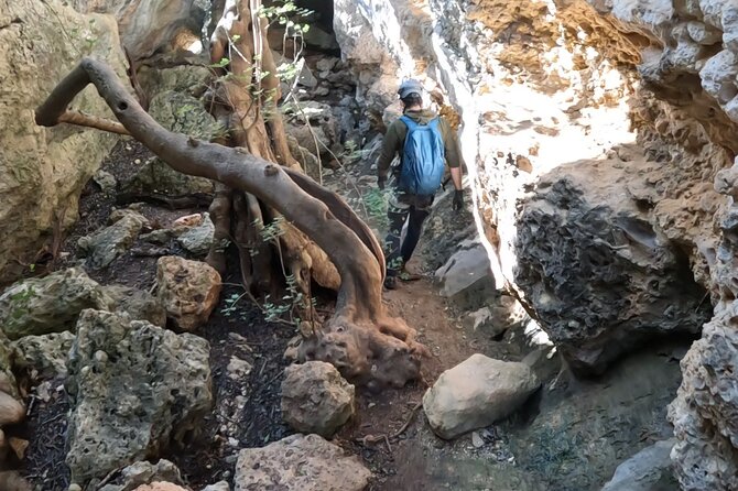 Full Day Rock Climb Adventure Trail from Lisbon with Lunch - Safety, rope systems, and the one thing you should always notice