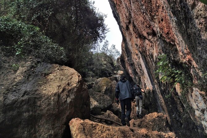 Full Day Rock Climb Adventure Trail from Lisbon with Lunch - Rope skills in the Arrabida zone: climbing, traversing, and rappelling