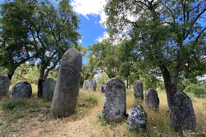 Full Day Tour in Évora from Lisbon - Meeting point timing, group size, and how the day flows