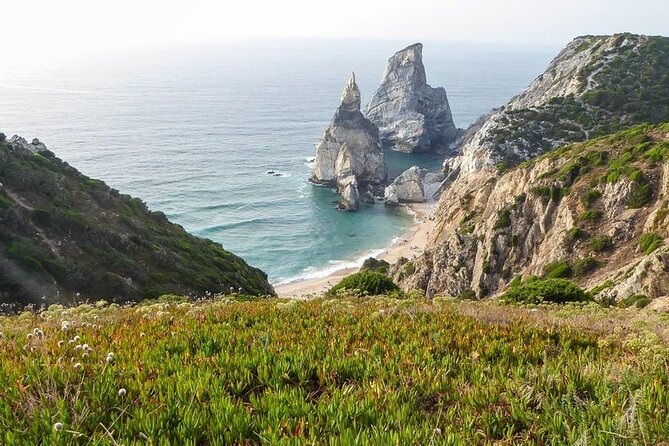 Full Day Tour: Sintra, Pena Palace, Cabo da Roca, Cascais - Cascais: Fishing Roots Turned Royal Summer Town