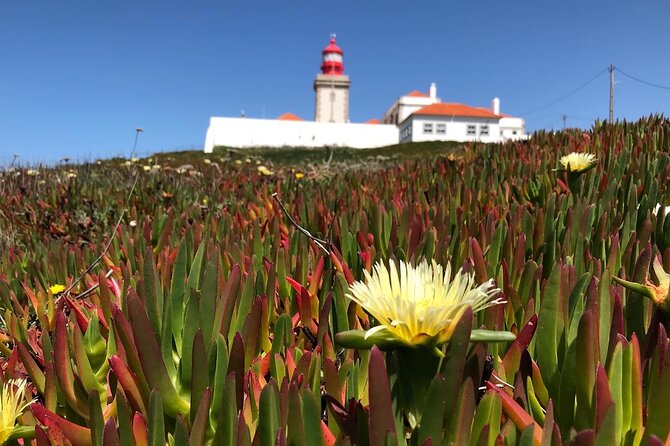 Full Day Tour: Sintra, Pena Palace, Cabo da Roca, Cascais - Who This Tour Is Best For