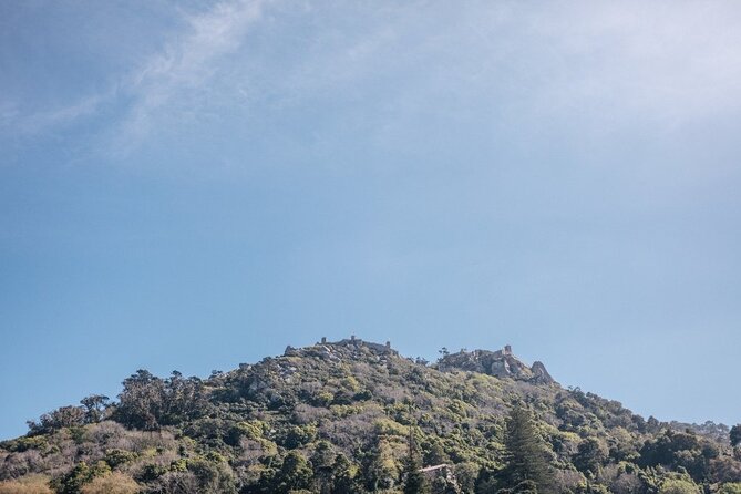 Full-Day Tour to Sintra and Cascais - The Monserrate Palace and Park: a change of pace near Sintra