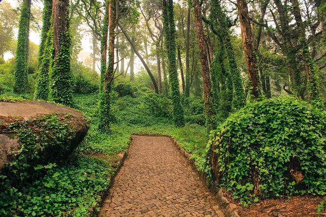Golden Triangle Private Tour (Sintra and Cascais), from Lisbon - Pacing, Comfort, and What to Bring for an 8-Hour Day
