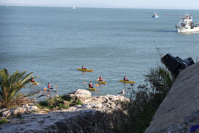 Group Scenic Sea Kayaking in Cascais, Lisbon - The Start: Safety Theory and Paddle Technique That Actually Helps
