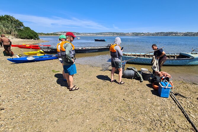 Guided Kayak Tours in the Óbidos lagoon - Price and value: $66.16 for a guided lagoon education