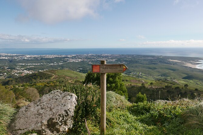 Half day adventures in the Sintra mountain - Pena Palace and the National Park: The Big Ticket Moment (90 Minutes On-Site)