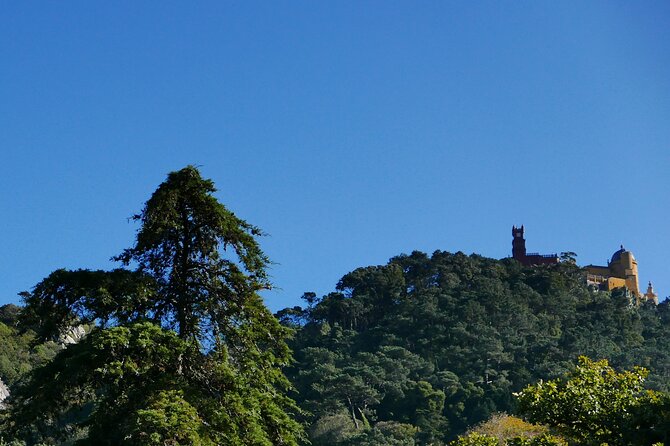 Half day adventures in the Sintra mountain - Quinta da Regaleira: The Mystical Architecture Stop (And the Initiatory Well)