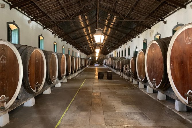 Half Day in Sintra and Cabo da Roca with Wine Tasting - Sintra’s Centro Histórico: 30 Minutes That Let You Choose