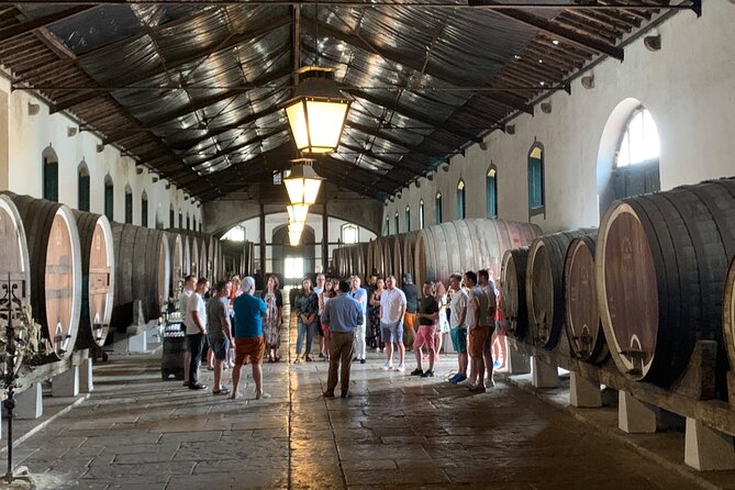 Half Day in Sintra and Cabo da Roca with Wine Tasting - Pickup, Timing, and What to Expect in a 4-Hour Plan