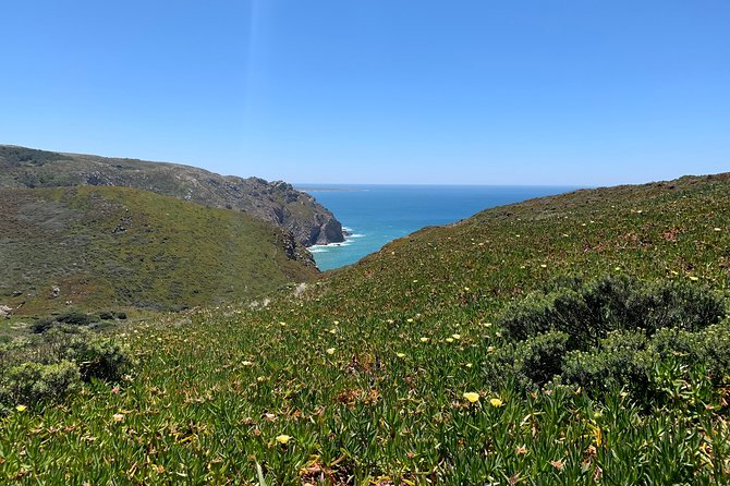 Half Day in Sintra and Cabo da Roca with Wine Tasting - Price and Value: Does $90.70 Make Sense for You?