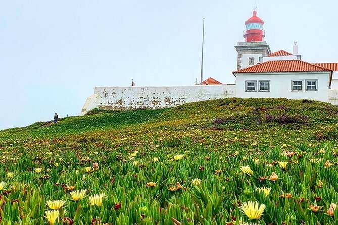 Half Day in Sintra and Cabo da Roca with Wine Tasting - Who This Tour Suits Best (And Who Might Prefer DIY)