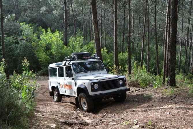 Half-day Sintra Jeep Safari - What the 4x4 ride actually adds to your Sintra day