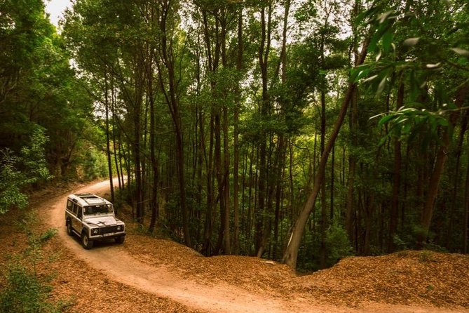 Half-day Sintra Jeep Safari - Who should book this safari (and who might skip it)