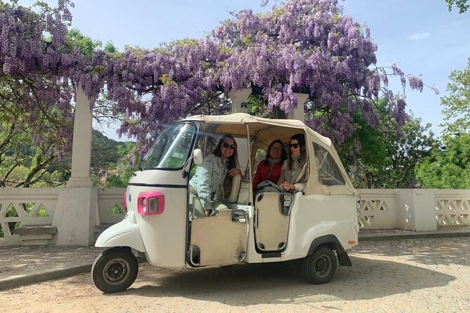 Half Day Tour in Sintra and the Coastline - The 4-hour rhythm: how quick stops still feel satisfying