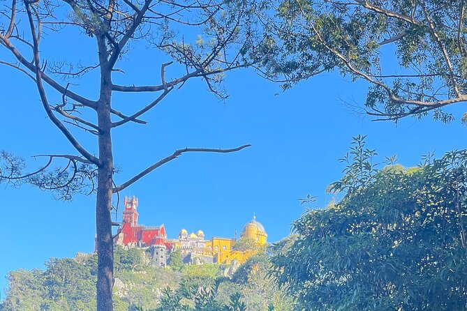 Half Day Tour in Sintra and the Coastline - Monserrate Palace: the secret-view vibe stop