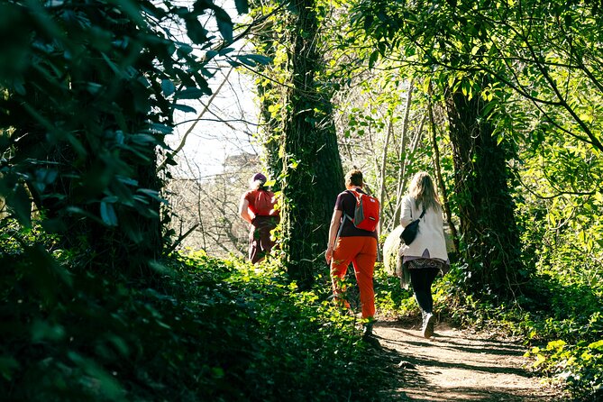 Hike in Sintra: Pena Palace, Moorish Castle, Quinta da Regaleira - Vila Sassetti Trail: The Walk That Feels Wild (and Actually Builds Space Between Stops)