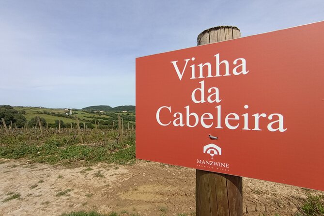 Hike & Wine Ericeira - The tasting: six wine selections plus tapas